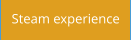 Steam experience